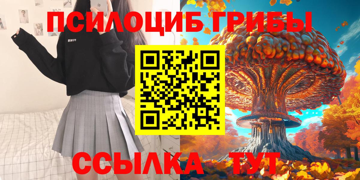 Псилоцибиновые грибы прущие грибы  Псилоцибиновые грибы Psilocybe  Конаково  Вход с VPN 