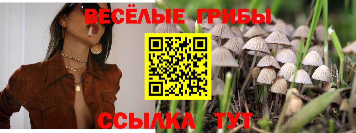 Галлюциногенные грибы мухоморы Конаково